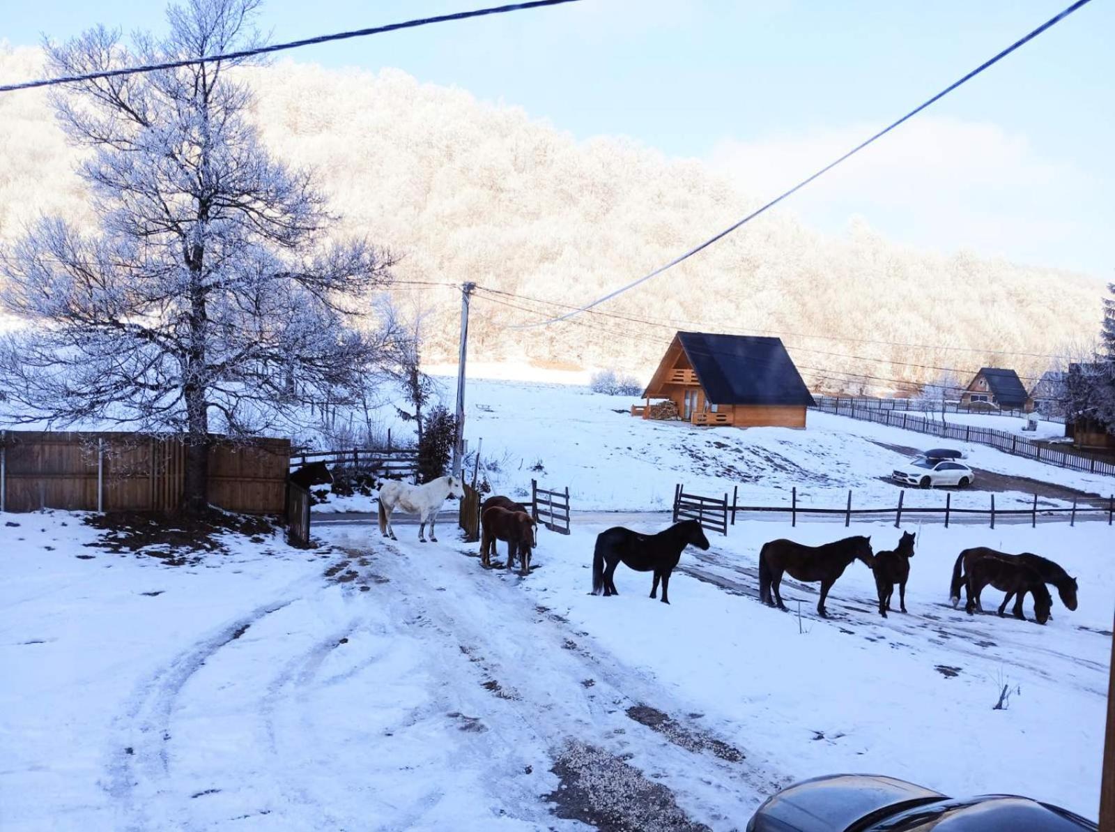 Vikendica Nole Jahorina Villa Пале Екстериор снимка